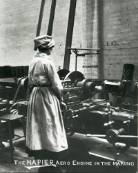 Image of woman worker