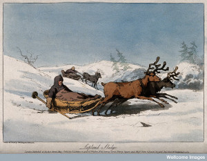 Image of reindeer pulling children in sledges