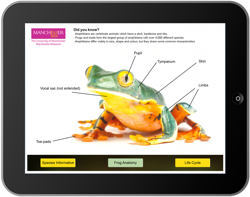 Fabulous Frogs App: Splendid & Native